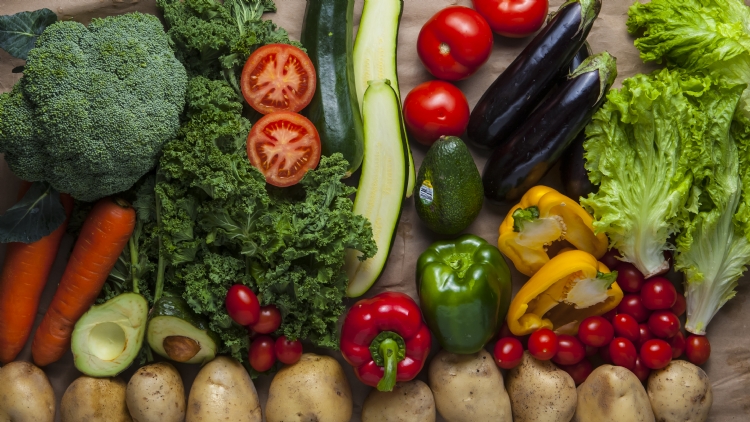 Shanghai’s best vegetable delivery boxes