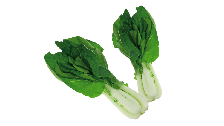 Bok Choy