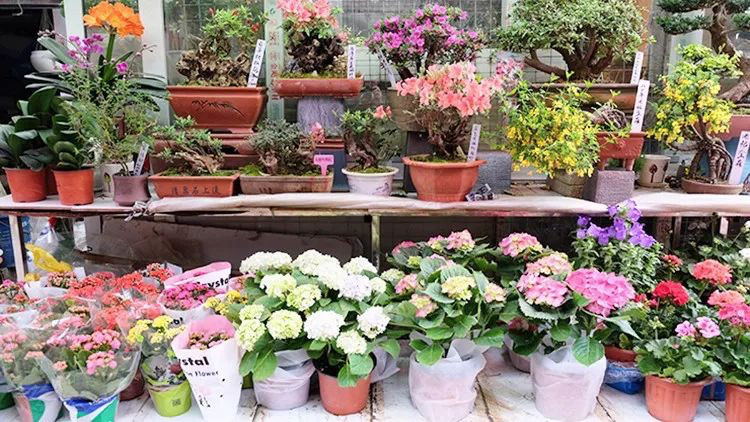 Meilong Flower and Bird Market